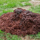 The really pretty balls-out mulch location